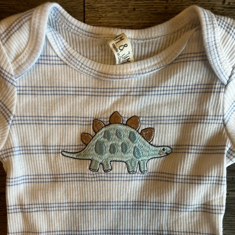 Liam & James Baby Boy Long Sleeve Onesie Dinosaur Stripe Embroidered 0-3 Month